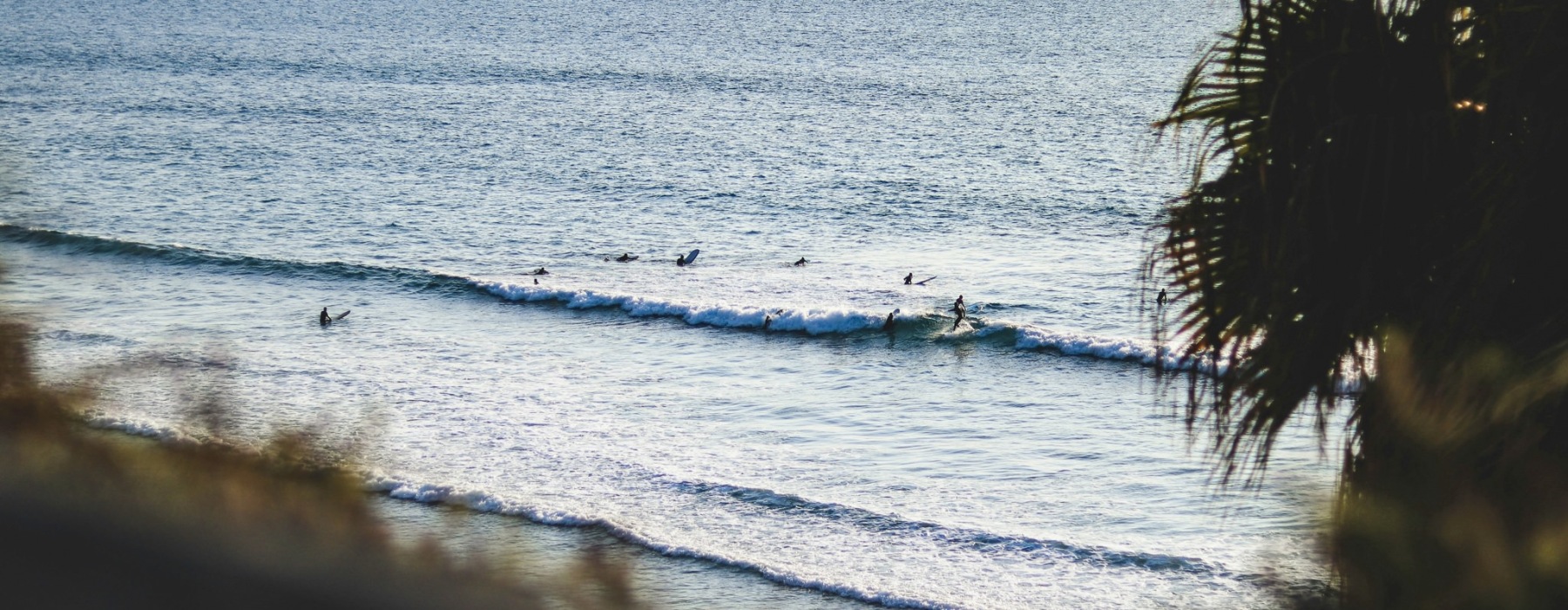 people on a beach surfing