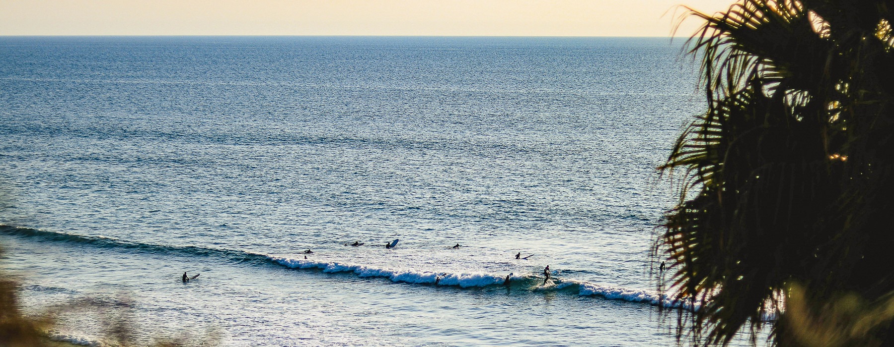 people on a beach surfing